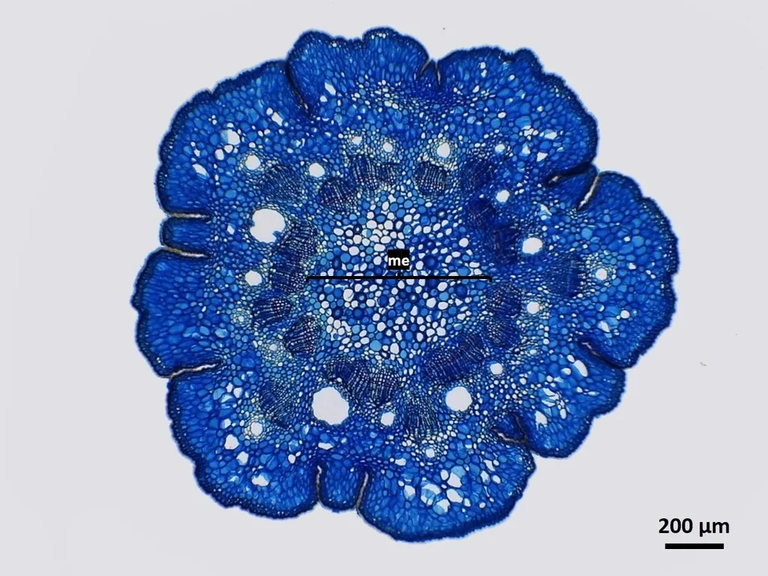 rs=w_1023,cg_true.jpg rs=w_1023,cg_true.jpg