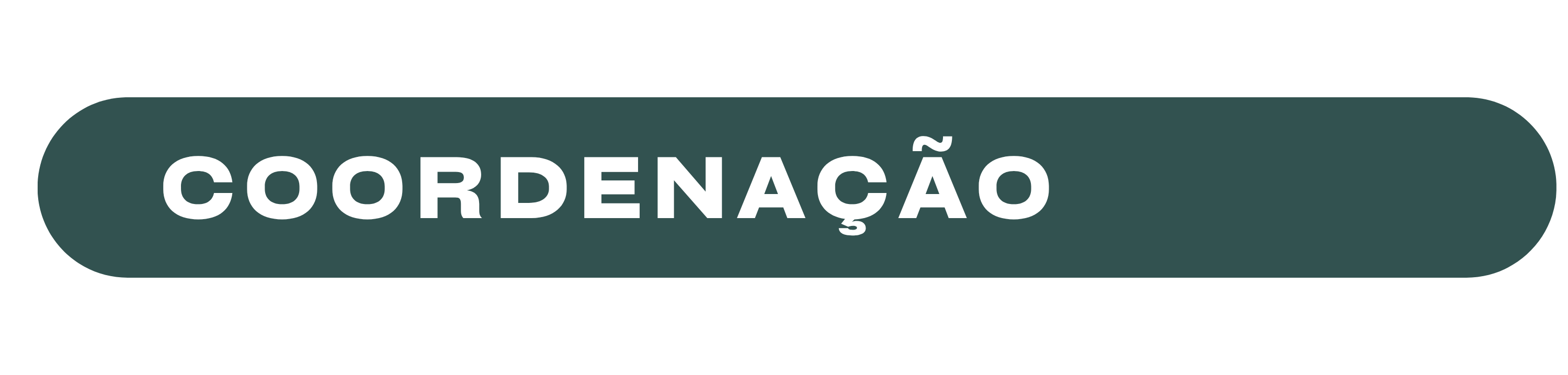 COORDENAÇÃO.png