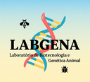 Captura de tela 2025-09-24 154615.png