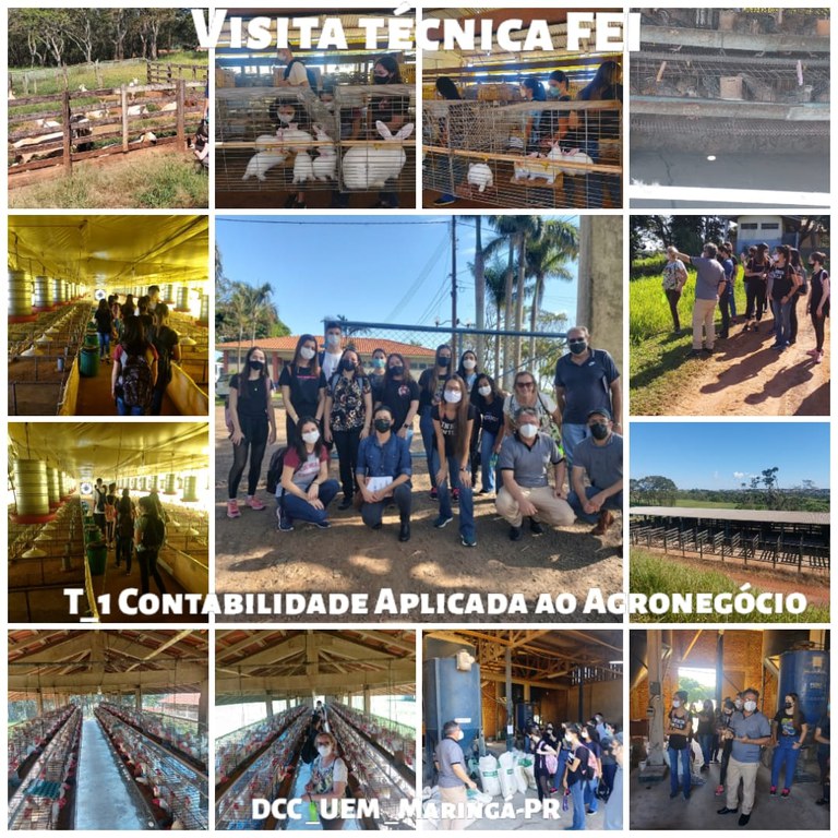 Visita Técnica.jpeg