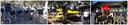 Maio Amarelo.png