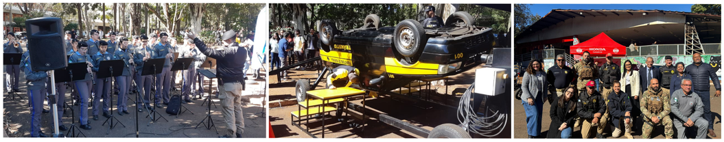Maio Amarelo.png