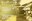 Maio banner.jpg