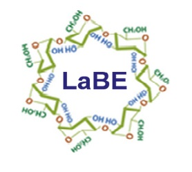 LaBE