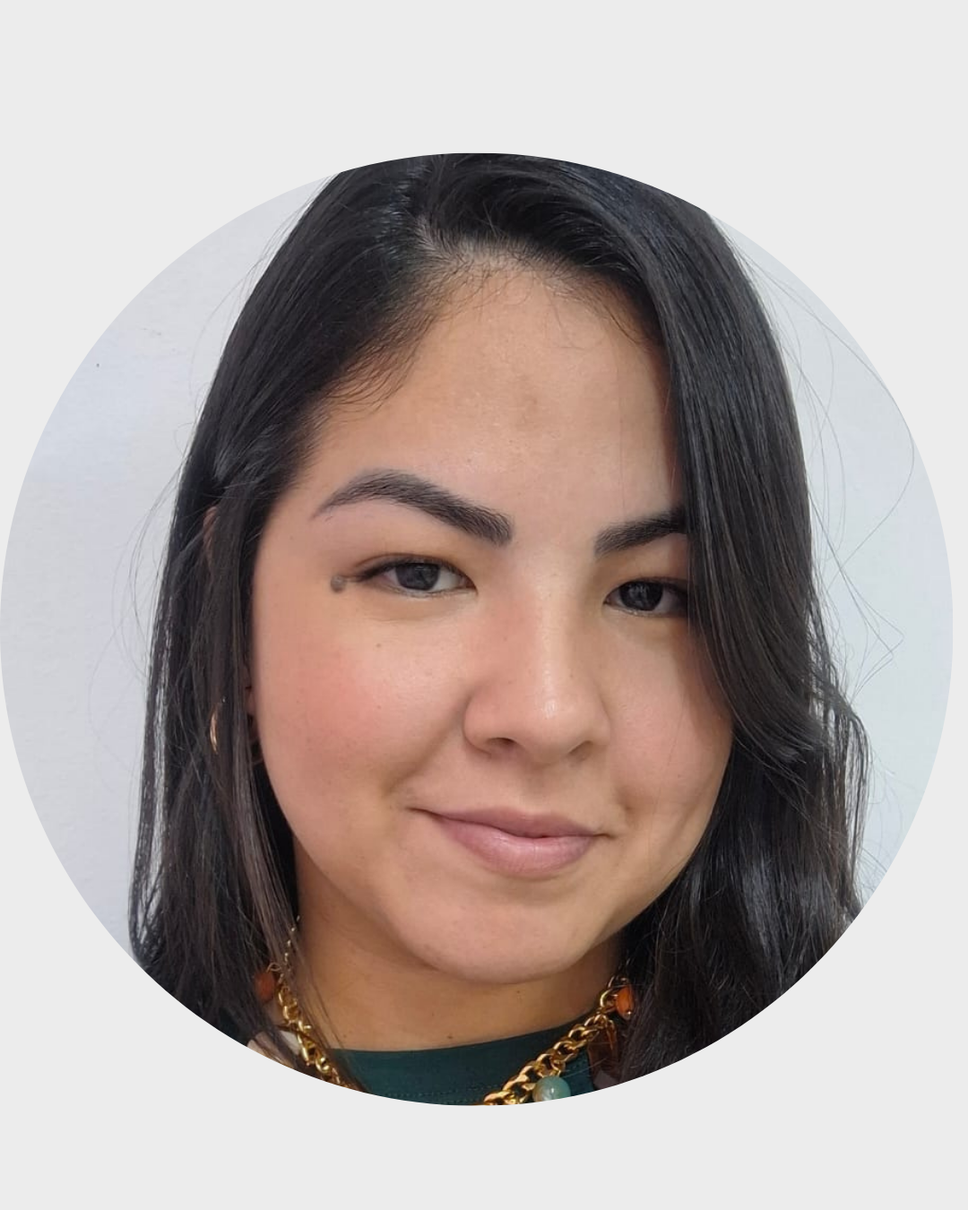 professores dmv (20).png