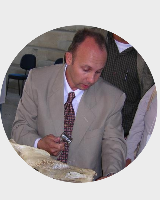 professores dmv (22).png professores dmv (22).png