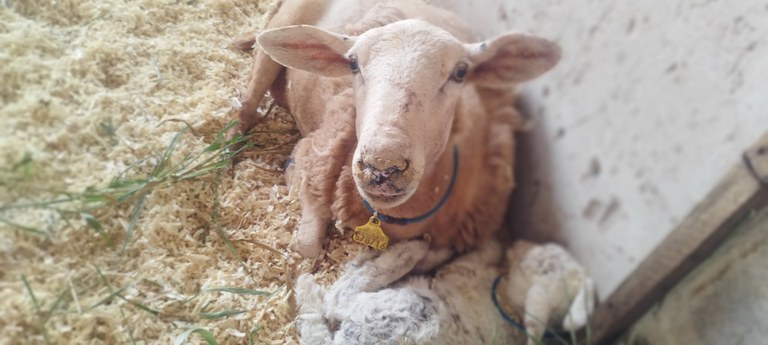 WhatsApp Image 2026-02-24 at 09.36.35 (1).jpeg