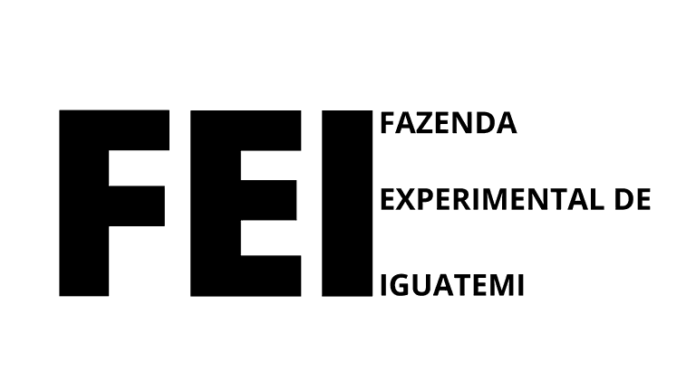 LOGO FEI.png
