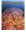 livro (7).png