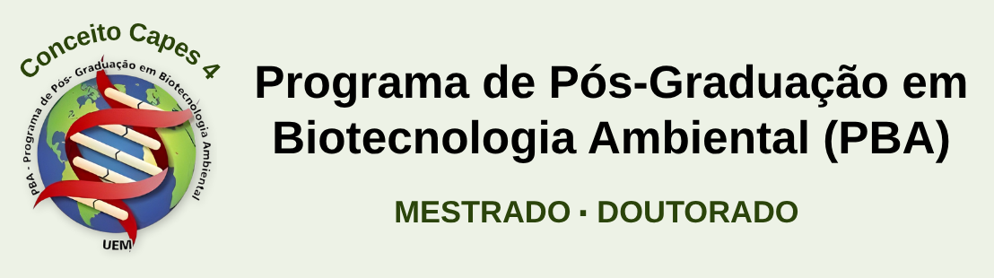 página (1108 x 435 px).png