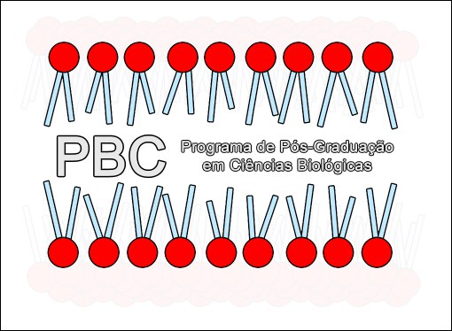 pbc copy.jpg