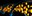 PBC_image3.jpg