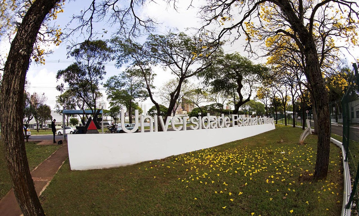 2018-09-04-fachada-da-reitoria-com-ipe-mg-8411auem.jpg