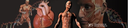 PFS1A.png