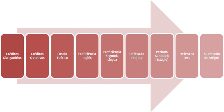 estruturadoutorado