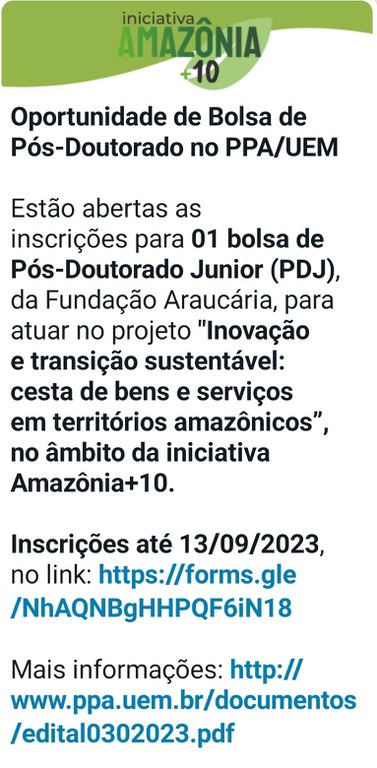 folder bolsa PDJ.jpg