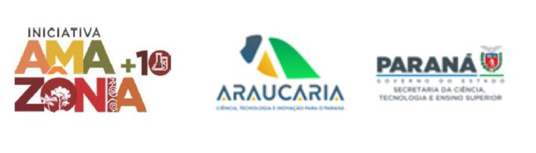 Iniciativa Amazônia +10.jpg