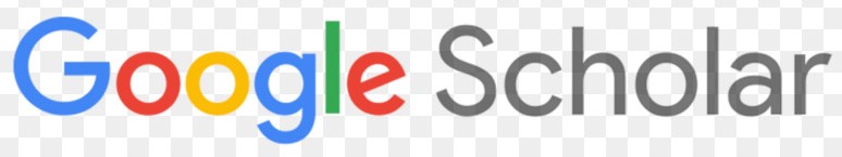google_academico_1.jpg