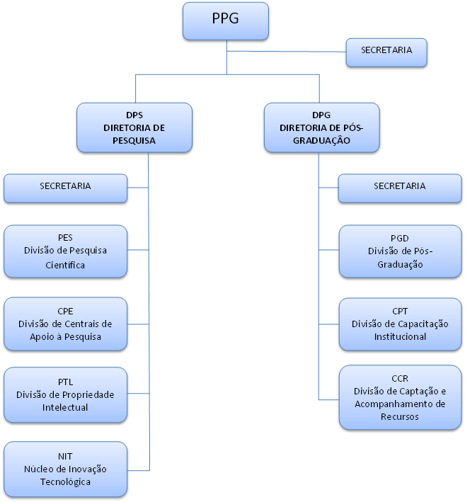 organogramaPPG.png