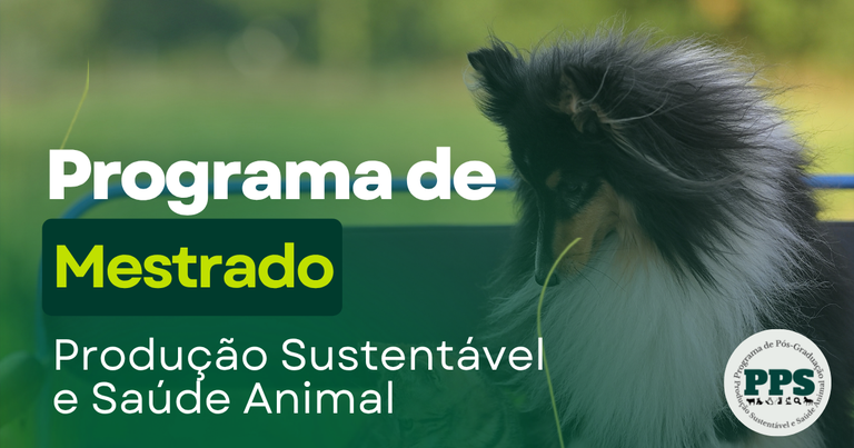 Design sem nome (2).png