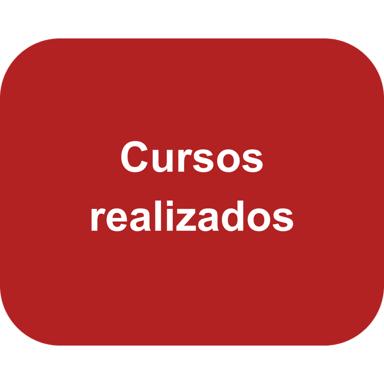 6-Cursos realizados.png