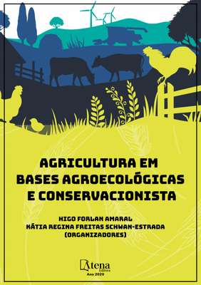 Capa do livro destaque1.png