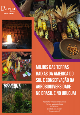 Capa do Livro destaque5.png