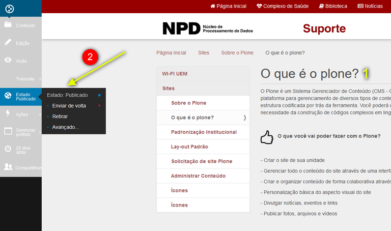Publicação pela página