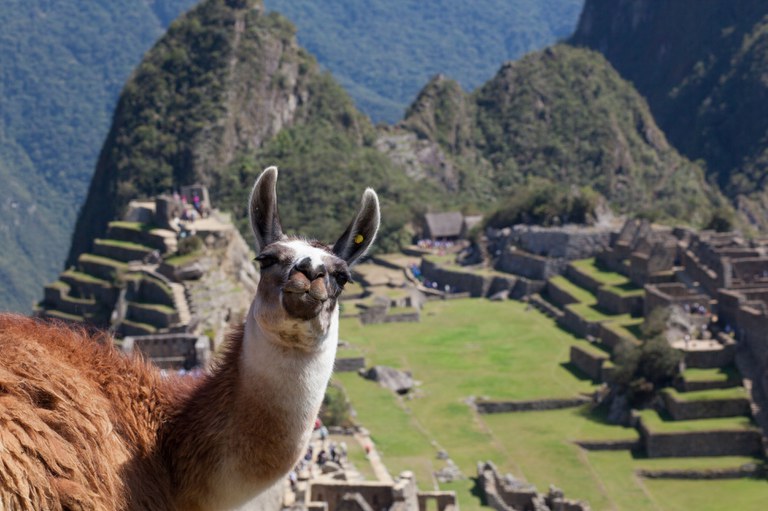 a-friendly-face-on-top-of-machu-picchu-537069713-59878228d088c000117e68ca.jpg