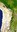 Noticia do CSD