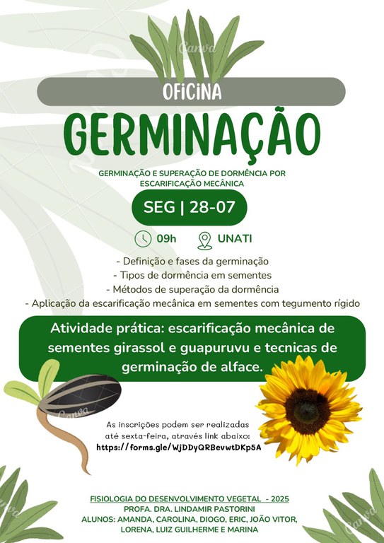 Imagem+do+WhatsApp+de+2025-07-22+à(s)+09.39.38_0ffaaa55.jpg